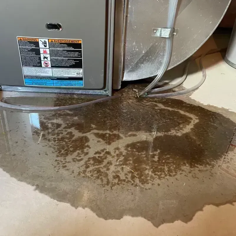 Appliance Leak Cleanup in Dunn County, ND